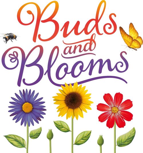 Buds and Blooms