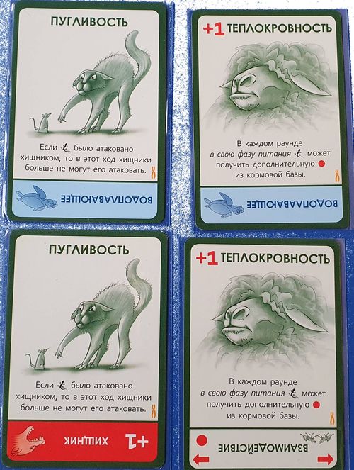 Эволюция Промо карты 4 шт