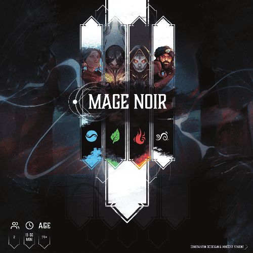 Обложка игры Mage Noir