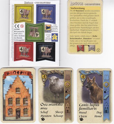 Брюгге. Домашние животные