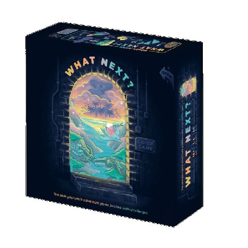 Обложка игры What Next?