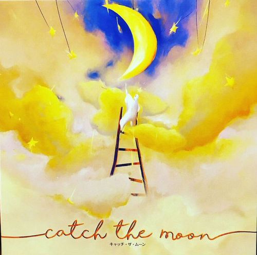 Обложка игры Catch the Moon