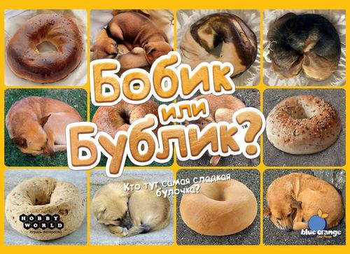 Бобик или бублик?