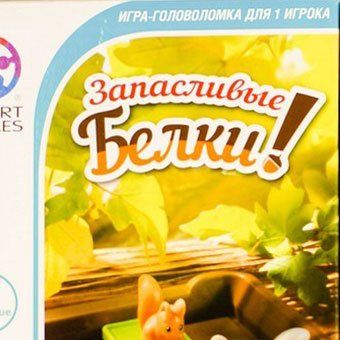 Обложка игры Запасливые белки