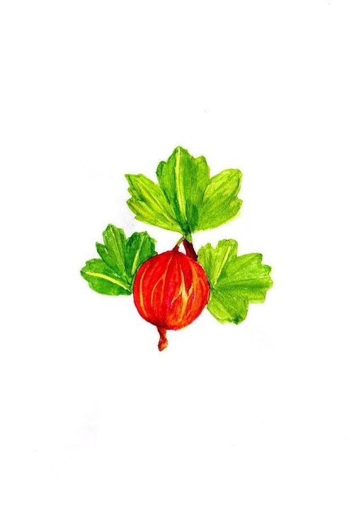 Обложка игры Gooseberry