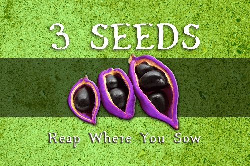 Обложка игры 3 Seeds: Reap Where You Sow