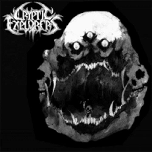 Обложка игры Cryptic Explorers