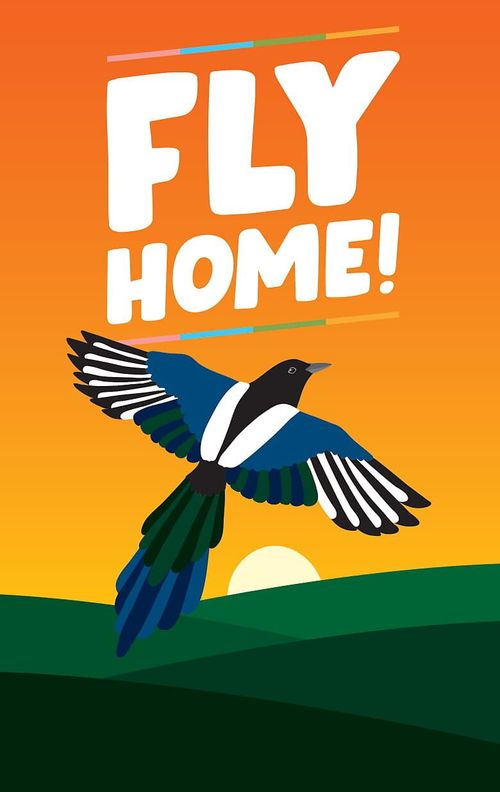 Обложка игры Fly Home!