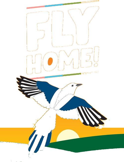 Fly Home!