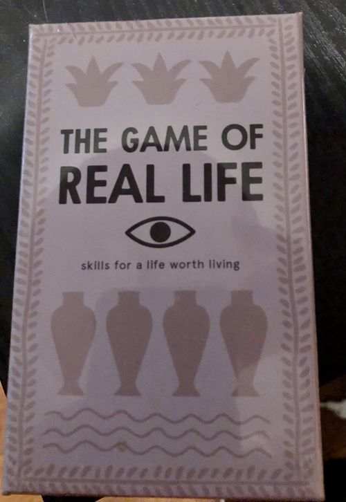 Обложка игры The Game of Real Life