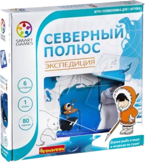 Северный полюс: Экспедиция