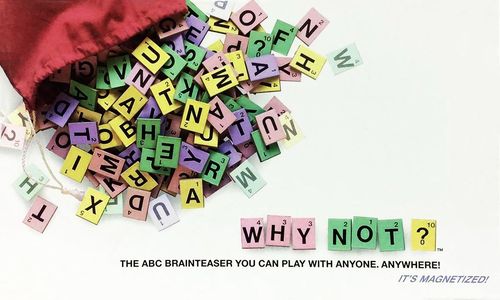 Обложка игры Why Not?