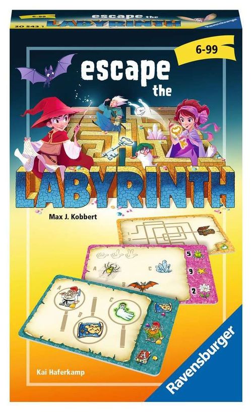 Обложка игры Escape the Labyrinth