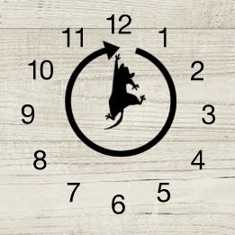 Обложка игры Dickory