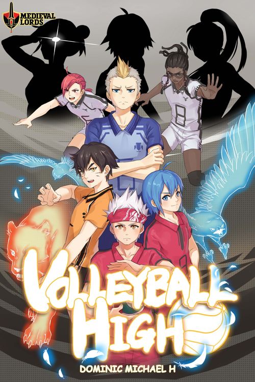 Обложка игры Volleyball High